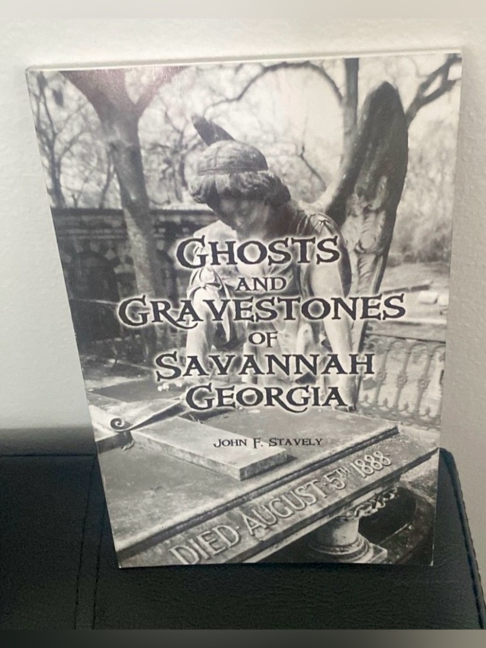 NWT Ghosts and Gravestones of Savannah Georgia Illustrated Book John Stavely